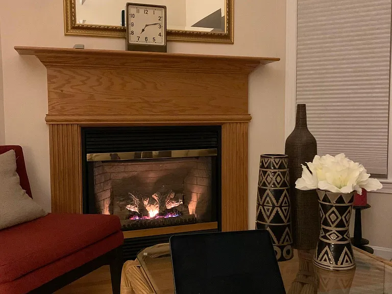 Propane fireplace