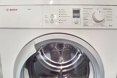 Rented by Bold New York