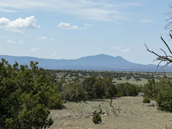 22 Running Bear Blvd #93, Quemado, NM 87829