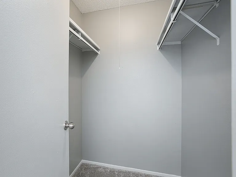 Walk-In Closet!