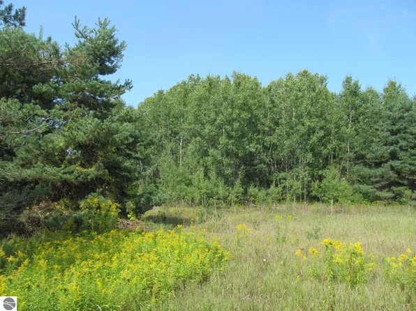 0 M 55, Cadillac, MI 49601