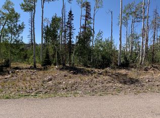 299 N Aoki Michi Rd, Brian Head, UT 84719