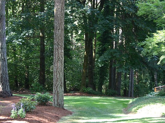 Side yard toward back