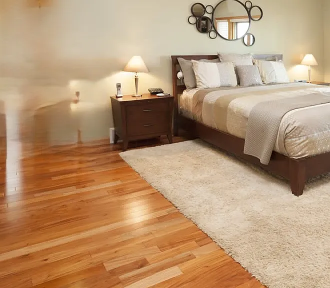 Master Bedroom with Walk-In Closet