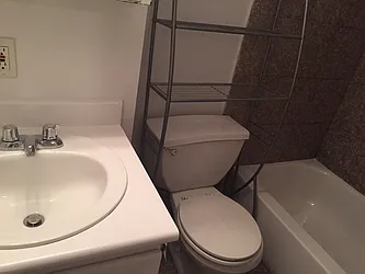 Rented by Sky Management