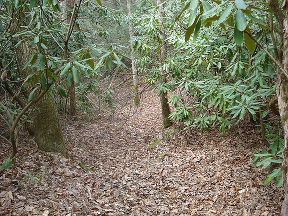 Level area for house site