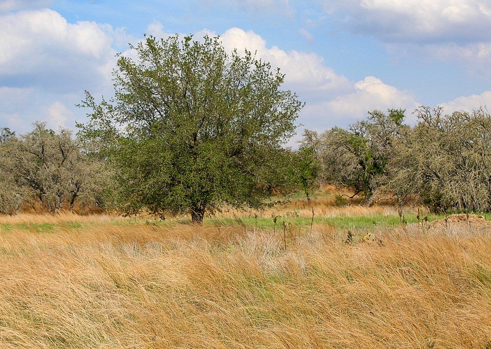 2nd image of 79 Fm 479