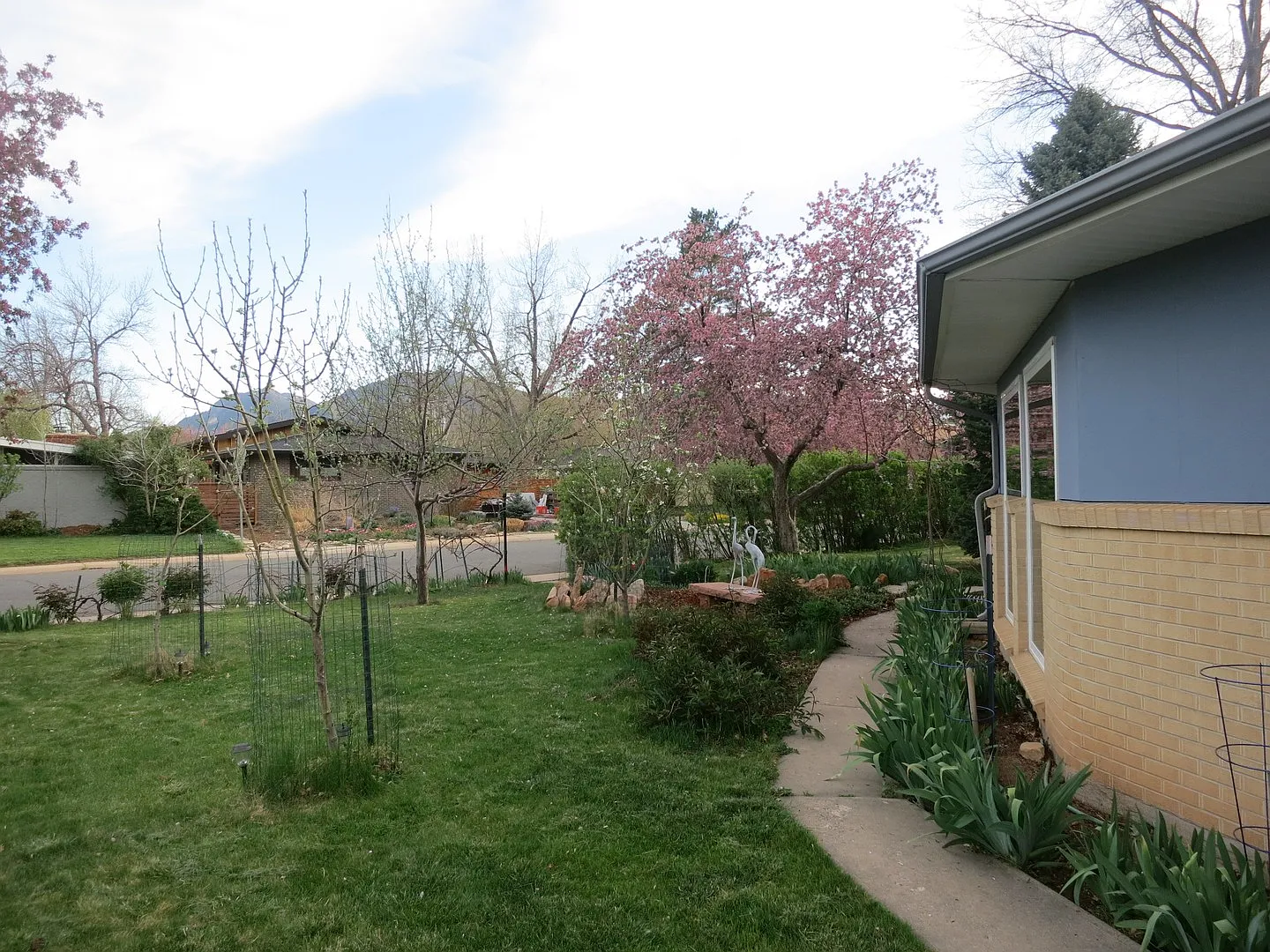 Grape Vines On Grape Ave: 3 Bed/2 Bath Ranch In Amazing Location In Old North Boulder! — Photo 1