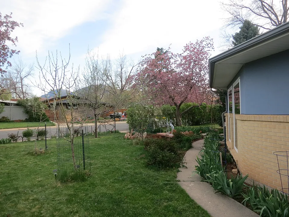 1965 Grape Ave