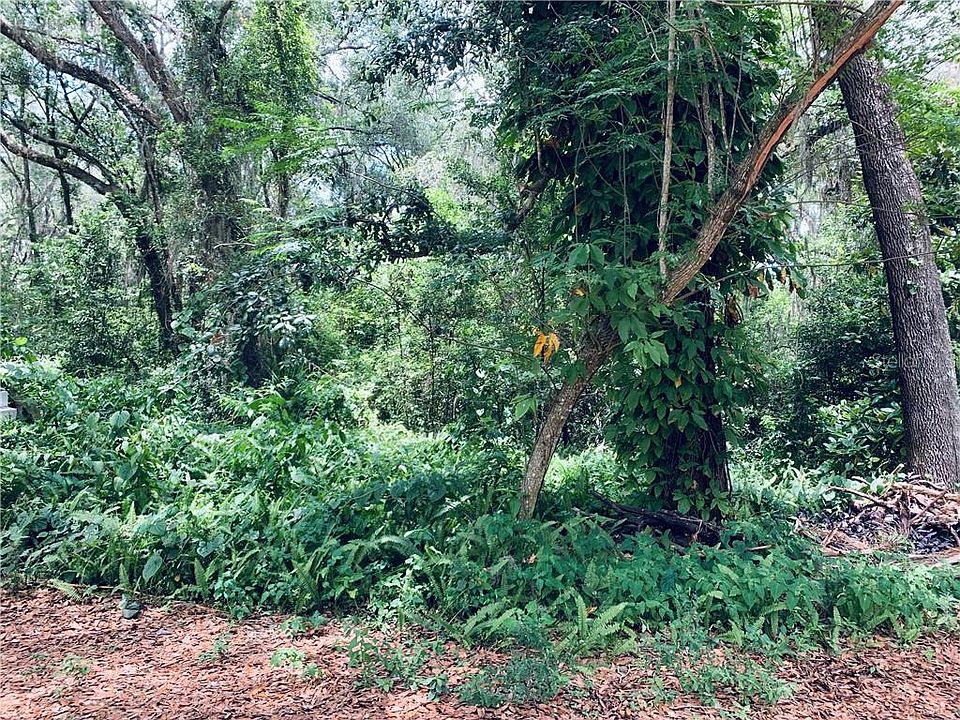 1st image of Avalona Dr