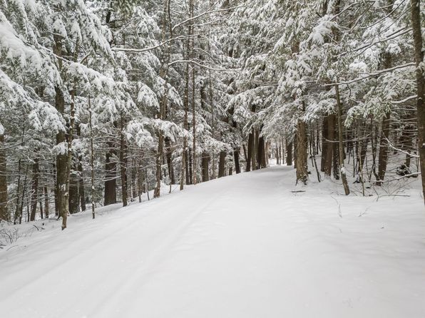 491 Timber Ln, Pickerel, WI 54465