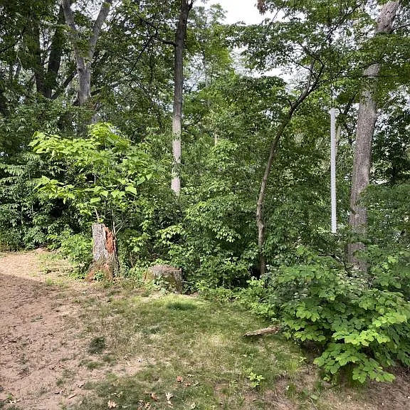 4189 Woodland Dr — Photo 17