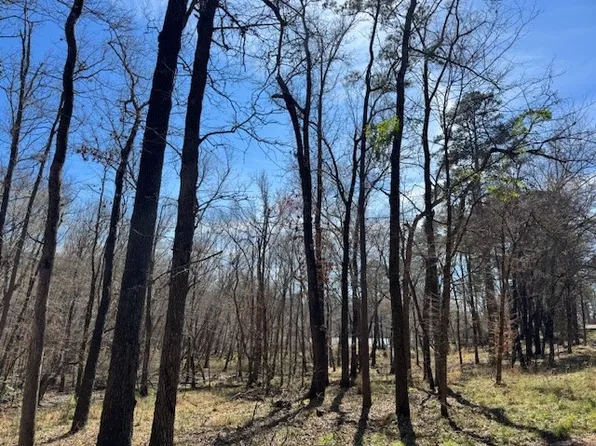 Anderson County Rd #319, Frankston, TX 75763