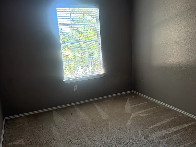 3809 Castle Rock Cv — Photo 24
