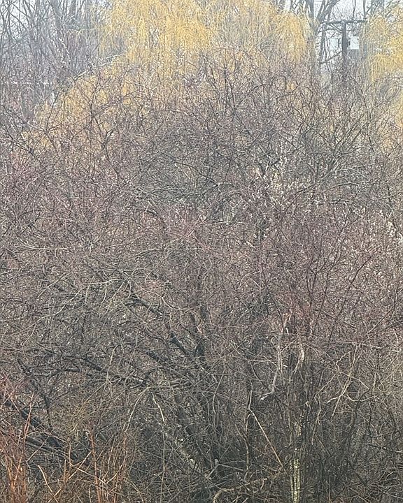 1st image of 101 Lakeshore Dr