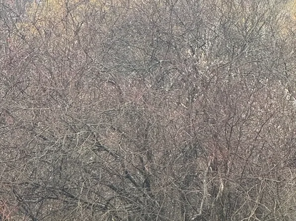 101 Lakeshore Dr, Ashburnham, MA 01430