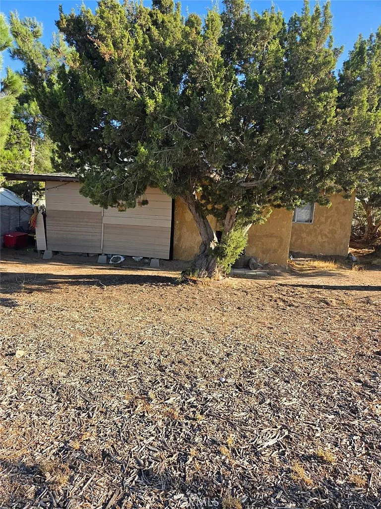 2 bed, 768 sqft, $1,650 — Photo 1