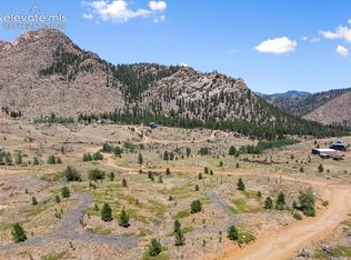 13865 S Highway 67, Woodland Park, CO 80863