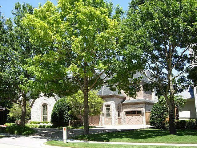 1st image of 1612 Cliffview Dr