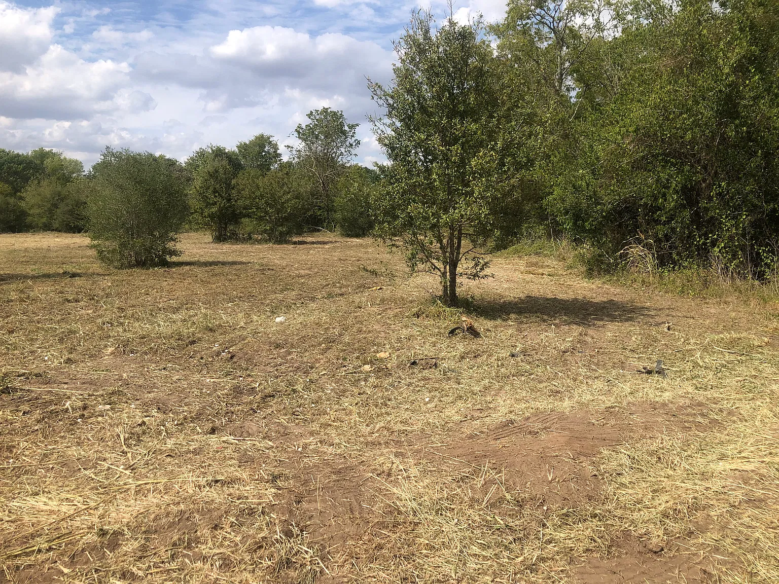 School Rd, Bellville — Photo 1