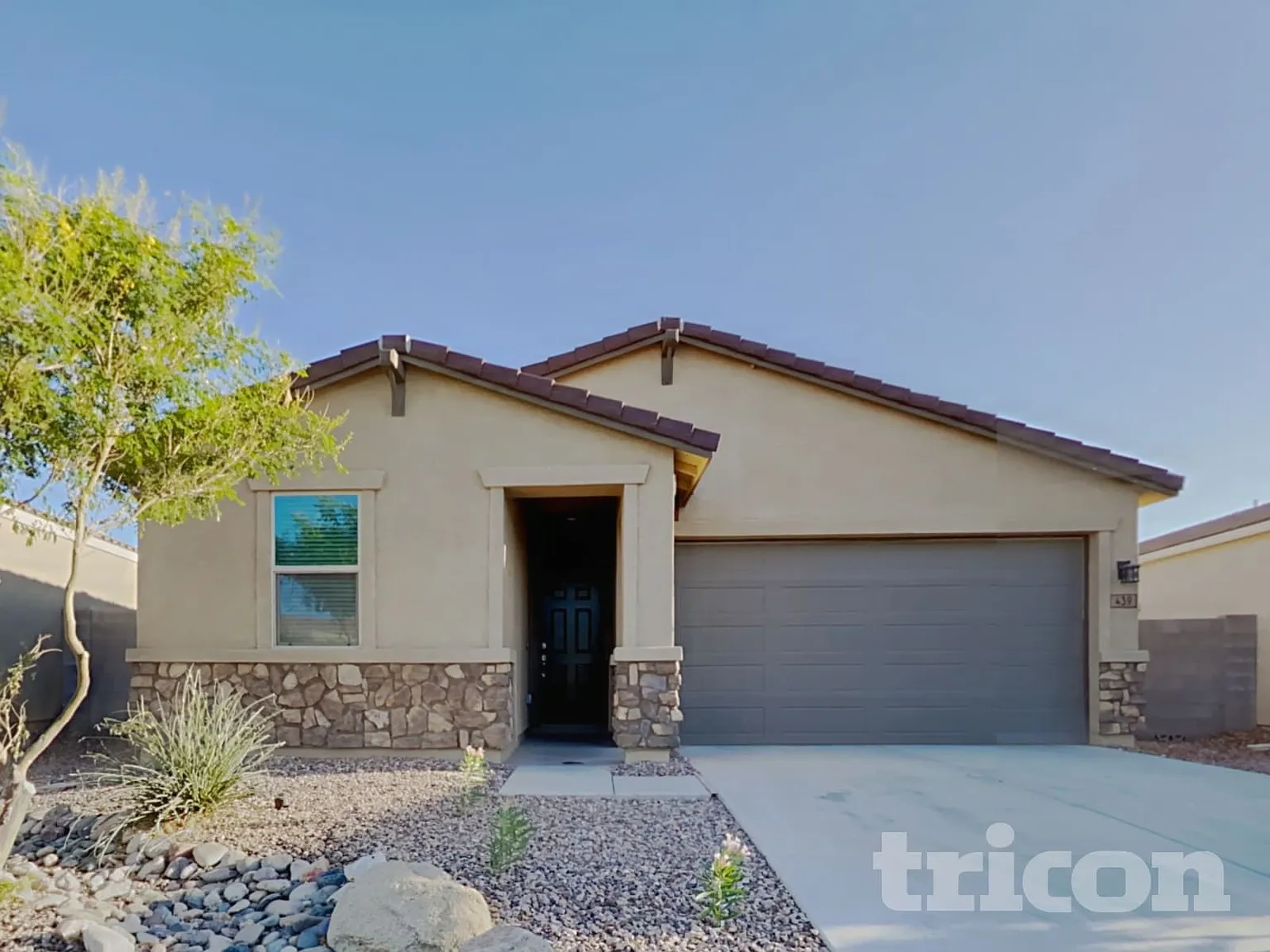 439 W Tenia Trail San Tan Valley AZ — Photo 2