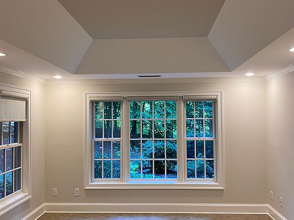 Tray ceiling, forest view