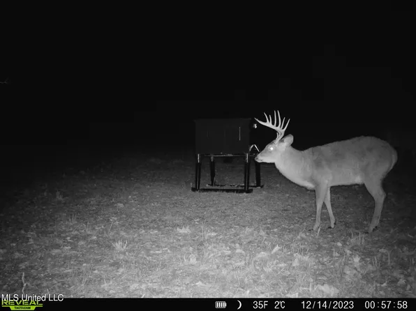 1 Highway 17, Pickens, MS 39146