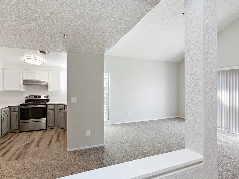 ReNew on Summerfield — Photo 5
