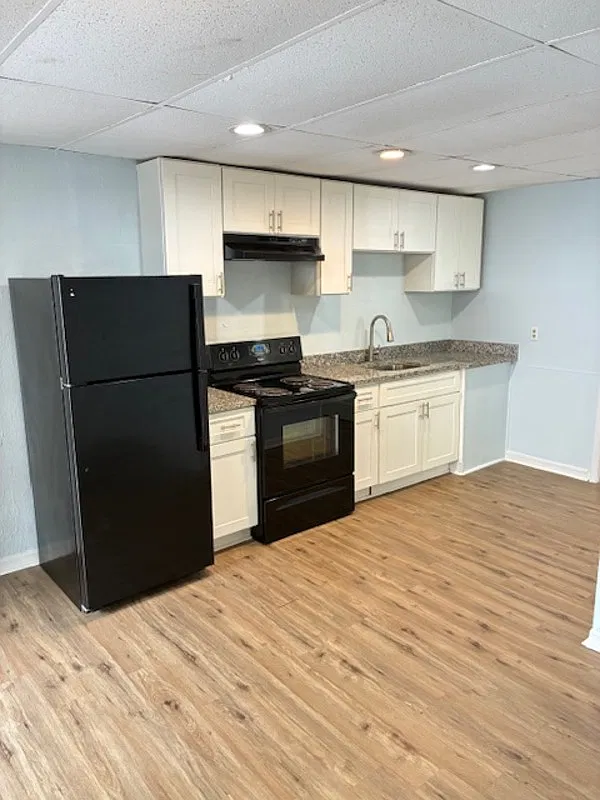 1 bed, 1.0 bath, 420 sqft, $750 — Photo 4