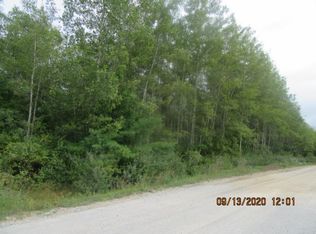 Spruce Rd, Hubbard lake, MI 48762