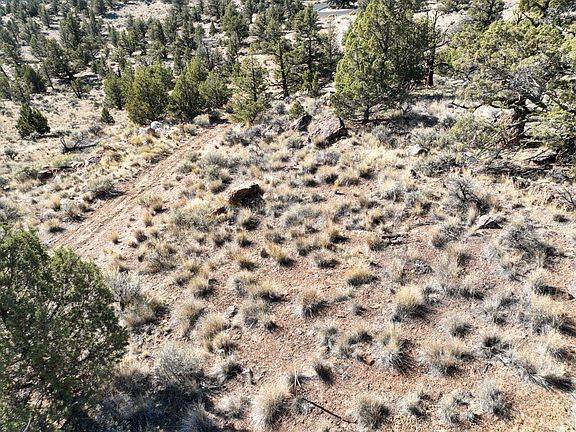 3rd image of 10081 SE Pavati Dr Lot 35