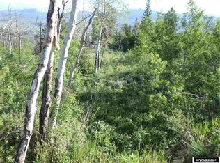 339 Union Pass Rd, Dubois, WY 82513