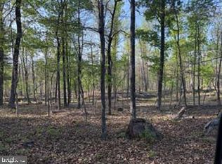 507 Easter Ridge Ln, Winchester, VA 22603