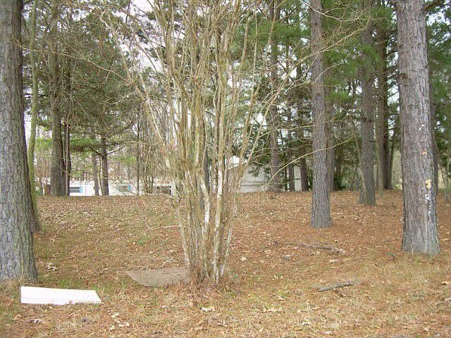 2nd image of 274 Fm 3172