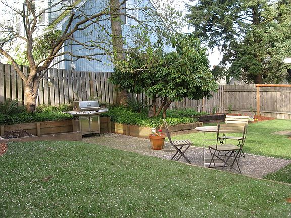 View of backyard.