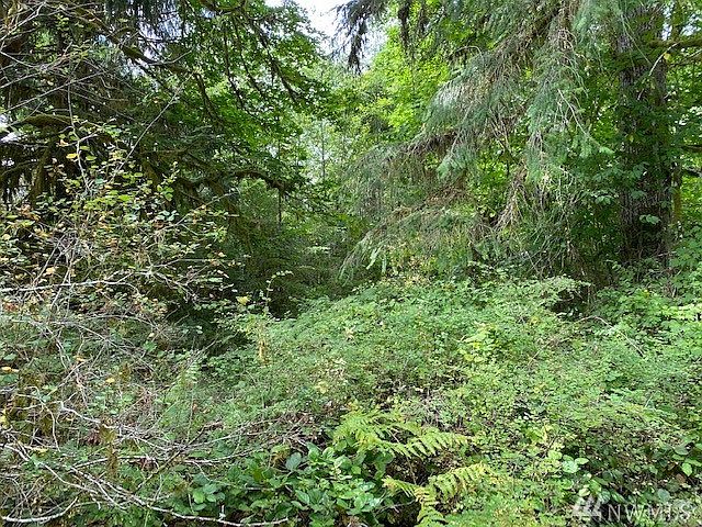 1st image of 380 W Satsop Maple Gln