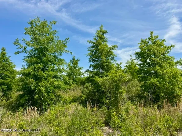 1 Highway 3, Lambert, MS 38643