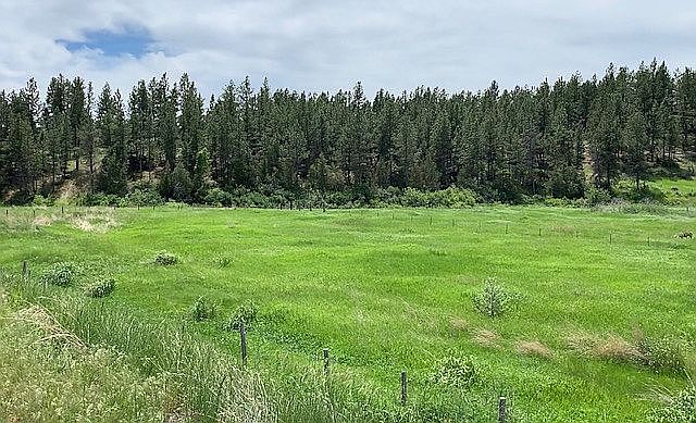1st image of 14 Mineral Dr