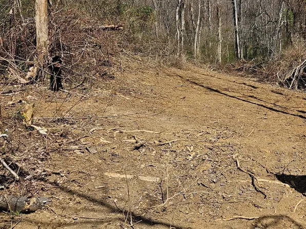 0 Moon Rd, Sperryville, VA 22740