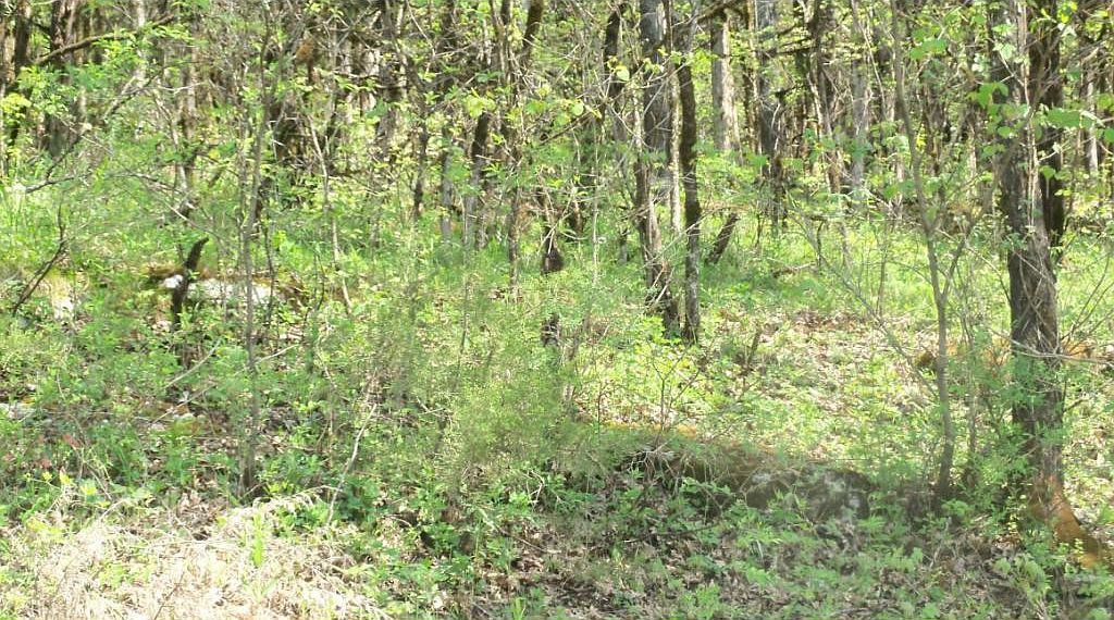 1 Mill Creek Rd, Fort Blackmore, VA 24250 Zillow