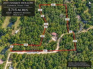 21173 Shakey Holw, Conroe, TX 77306
