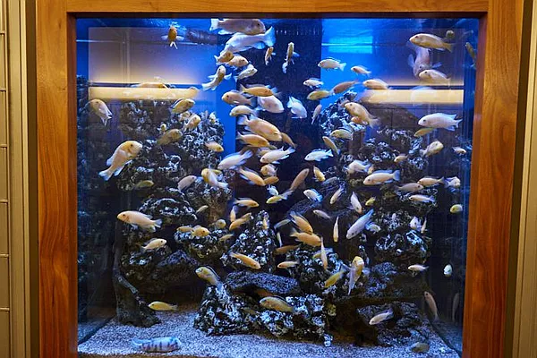 Rented by RSNY Realty | media 20