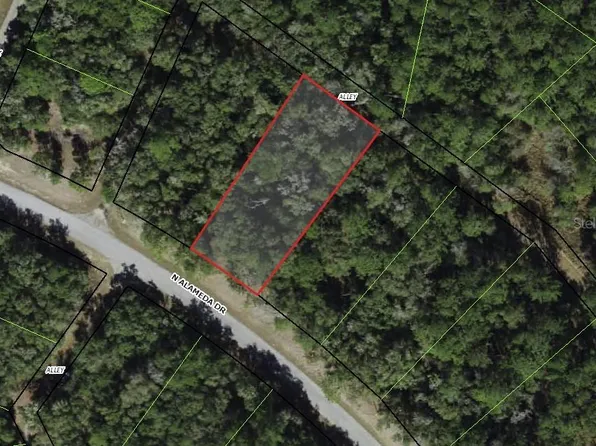 8755 N Alameda Dr Lot 2, Dunnellon, FL 34434