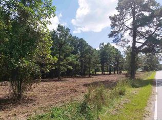 Dog Bluff Rd, Galivants Ferry, SC 29544