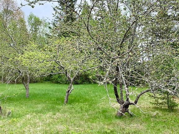 81st image of this home