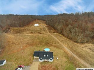 400 Charley Davis Rd, Goodspring, TN 38460