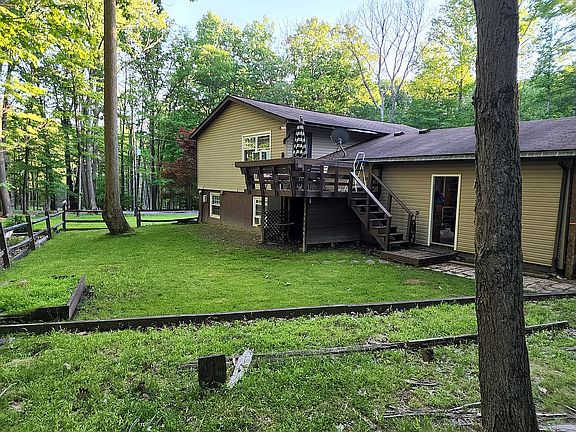 Full backyard