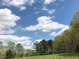 4216 Tanners Mill Rd, Braselton, GA 30517