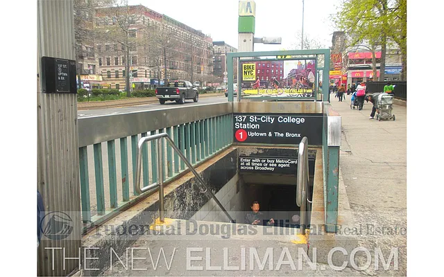 Sold by Douglas Elliman | media 11