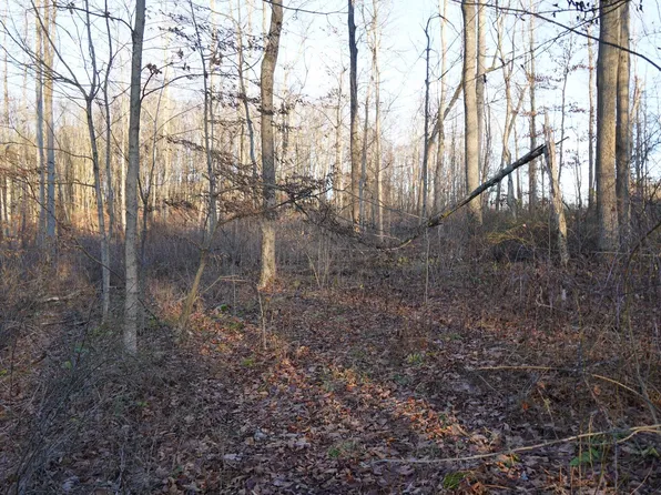 LOT 1 Klondike Rd, Confluence, PA 15424